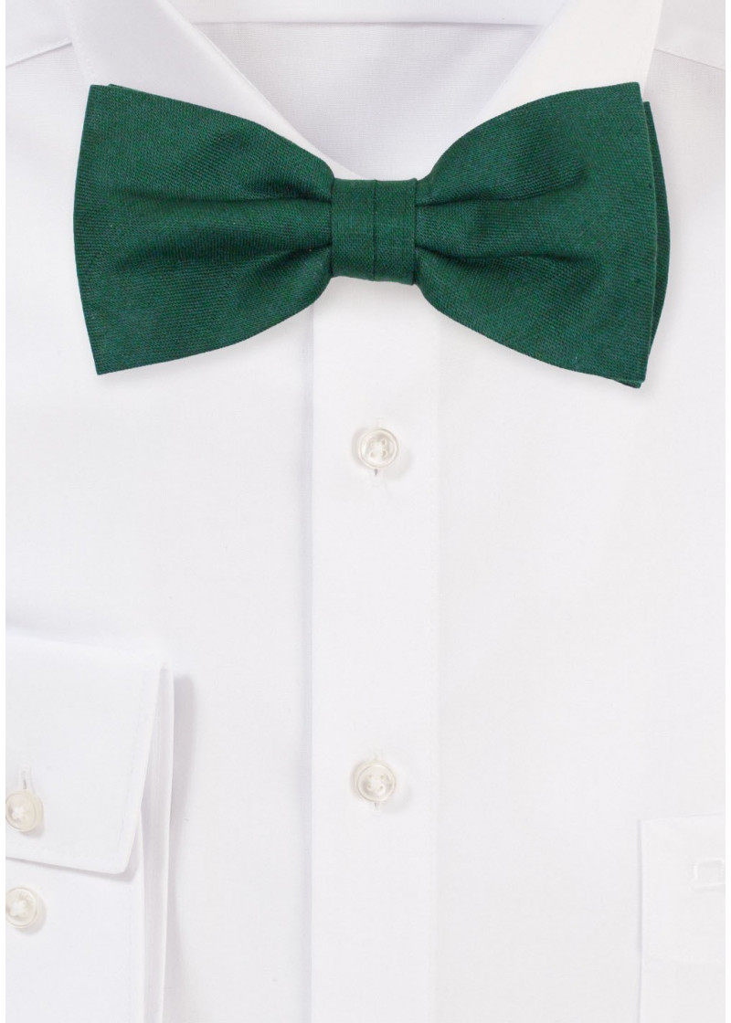 Papillon da uomo in 100% lino (scuro/verde)