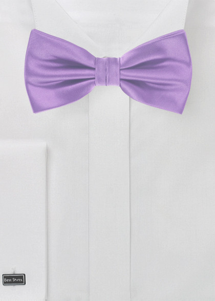 Papillion aus dem gleichen Stoff und Farbe