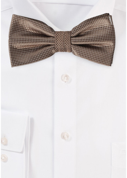 Papillion aus dem gleichen Stoff und Farbe
