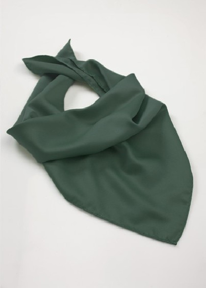 Foulard aus dem gleichen Stoff und Farbe