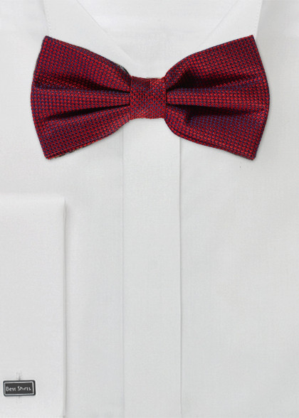 Papillion aus dem gleichen Stoff und Farbe