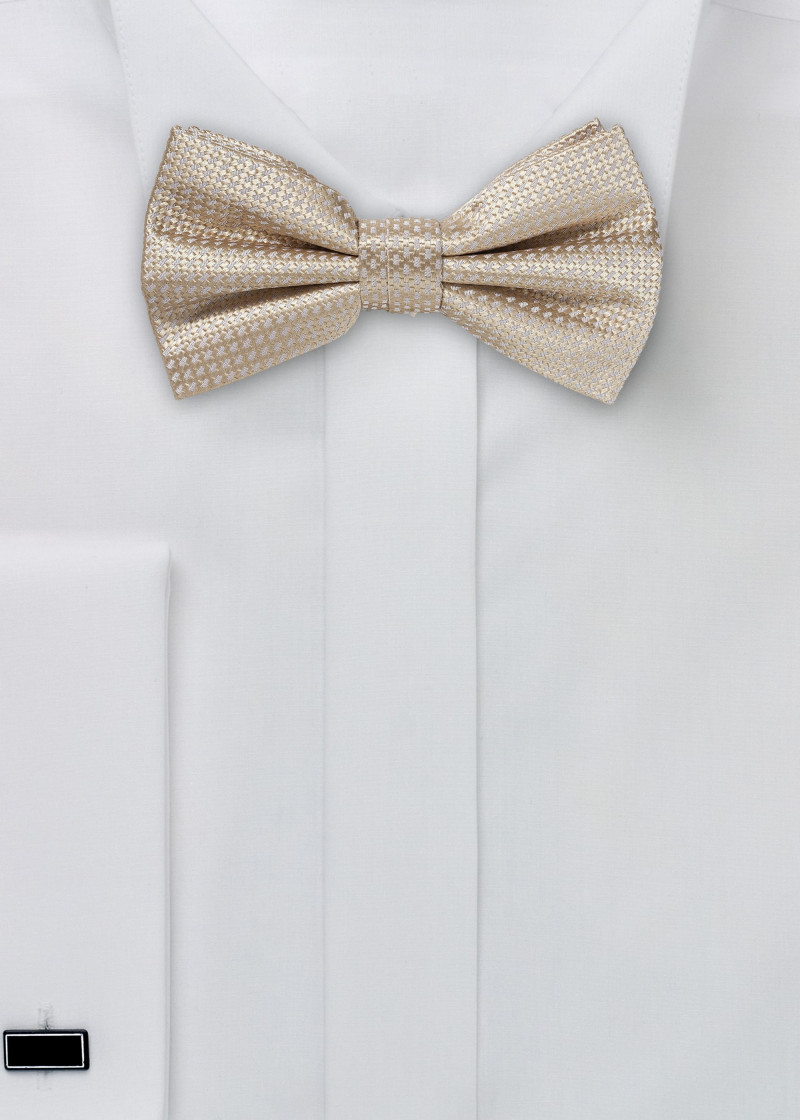 Papillon in seta da uomo in beige con strutur