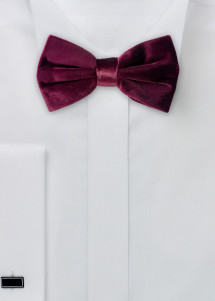 Papillon in morbido velluto nell'elegante...