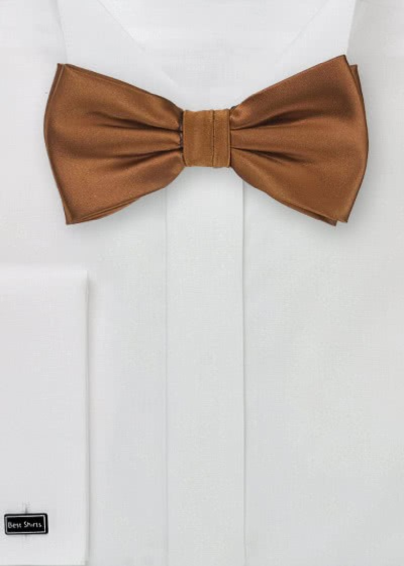 Papillon marrone