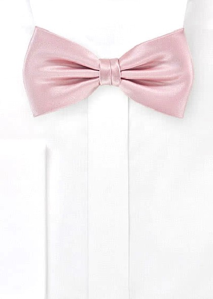 Papillion aus dem gleichen Stoff und Farbe