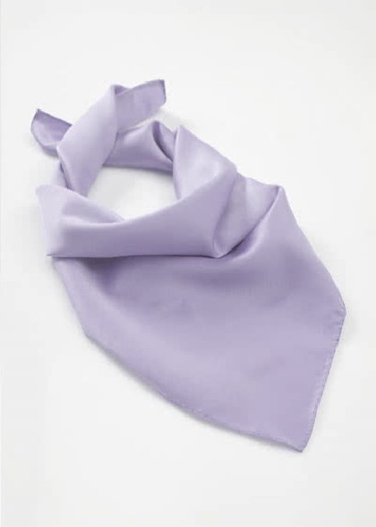 Foulard aus dem gleichen Stoff und Farbe