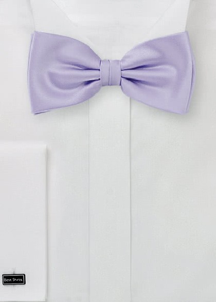 Papillion aus dem gleichen Stoff und Farbe
