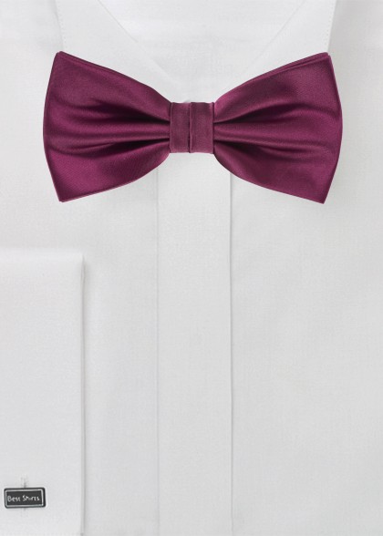 Papillion aus dem gleichen Stoff und Farbe