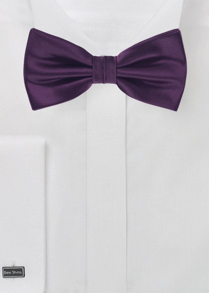 Papillion aus dem gleichen Stoff und Farbe
