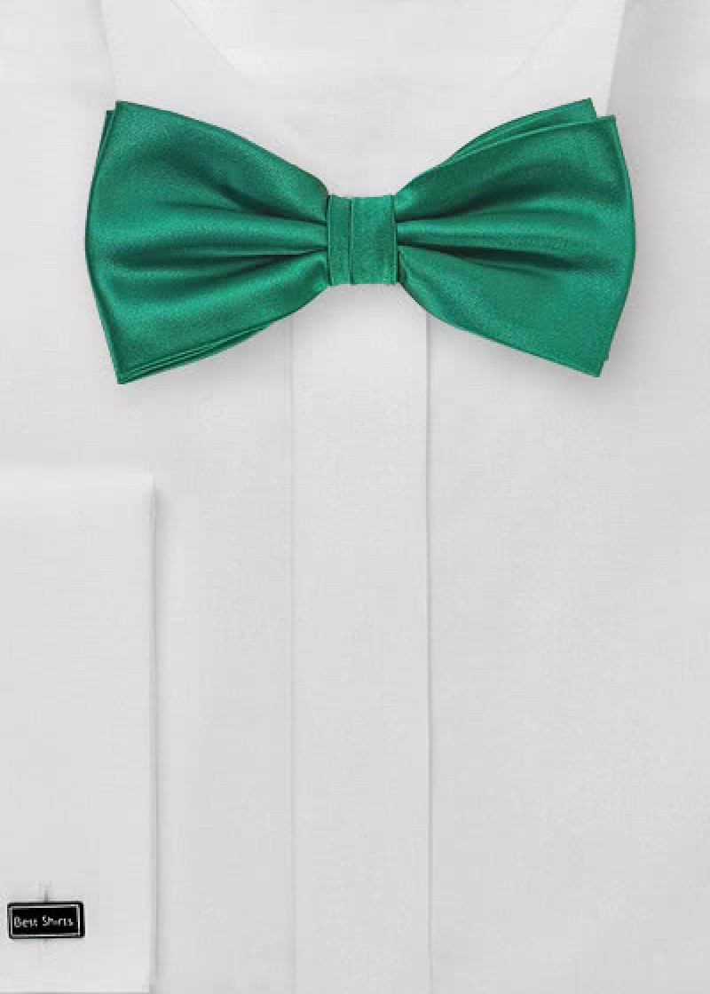 Papillon verde