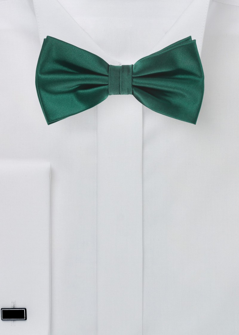 Papillon verde muschio