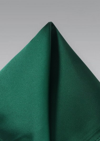 Fazzoletto aus dem gleichen Stoff und Farbe