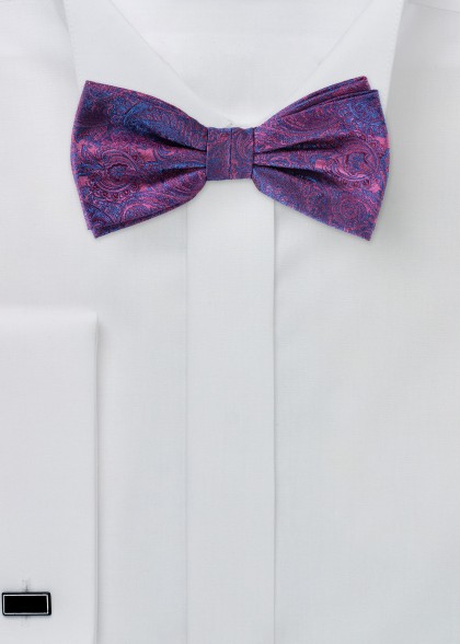 Papillion aus dem gleichen Stoff und Farbe