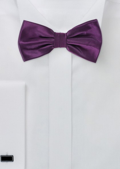 Papillion aus dem gleichen Stoff und Farbe
