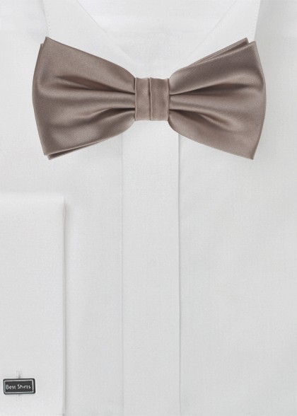Papillion aus dem gleichen Stoff und Farbe