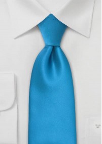 Cravatta clip azzurra