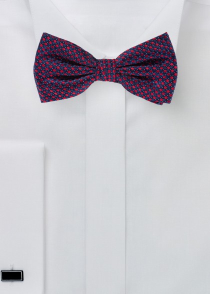 Papillion aus dem gleichen Stoff und Farbe