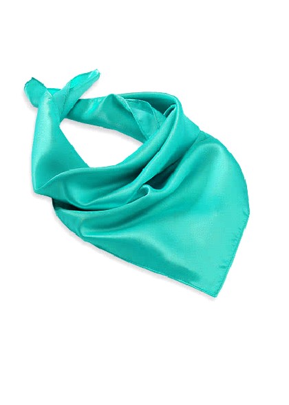 Foulard aus dem gleichen Stoff und Farbe