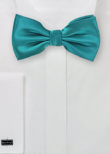 Papillion aus dem gleichen Stoff und Farbe