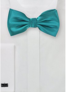 Papillon verdeazzurro