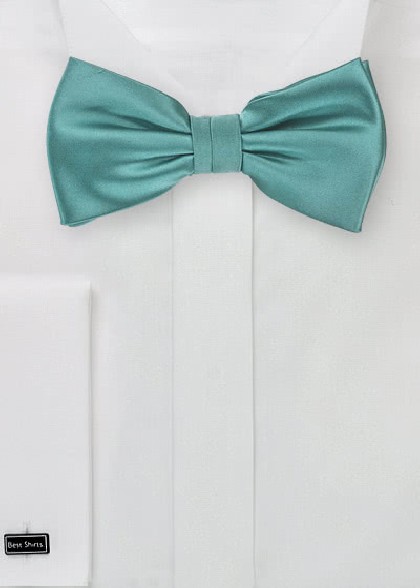 Papillion aus dem gleichen Stoff und Farbe