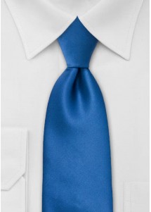 Cravatta blu regale