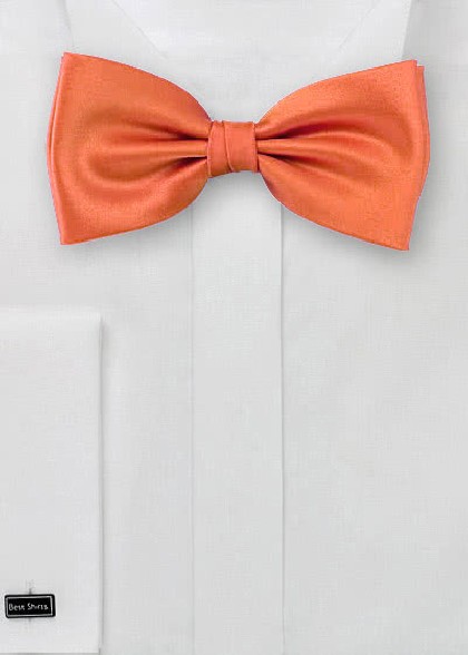 Papillion aus dem gleichen Stoff und Farbe