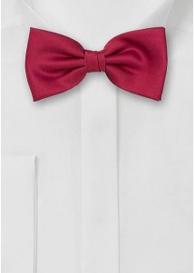 Papillon da uomo rosso vino