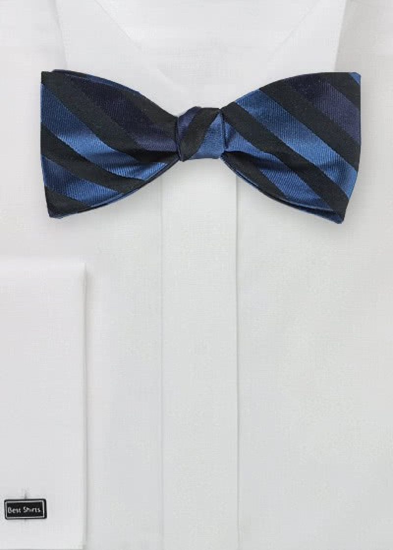 Papillon righe blu