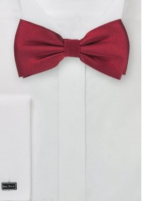 Papillion aus dem gleichen Stoff und Farbe