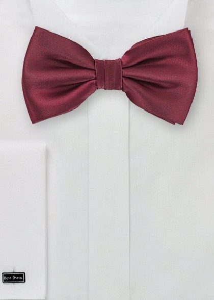 Papillion aus dem gleichen Stoff und Farbe