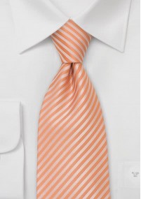 Cravatta arancione righe
