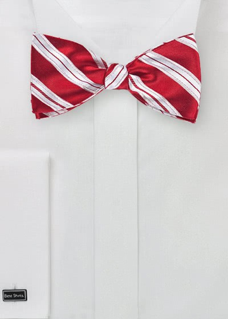 Papillon rosso righe