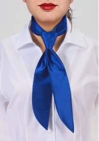 Cravatta femminile blu regale