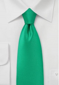Cravatta lucida turchese