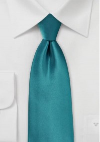 Cravatta verdeazzurro microfibra