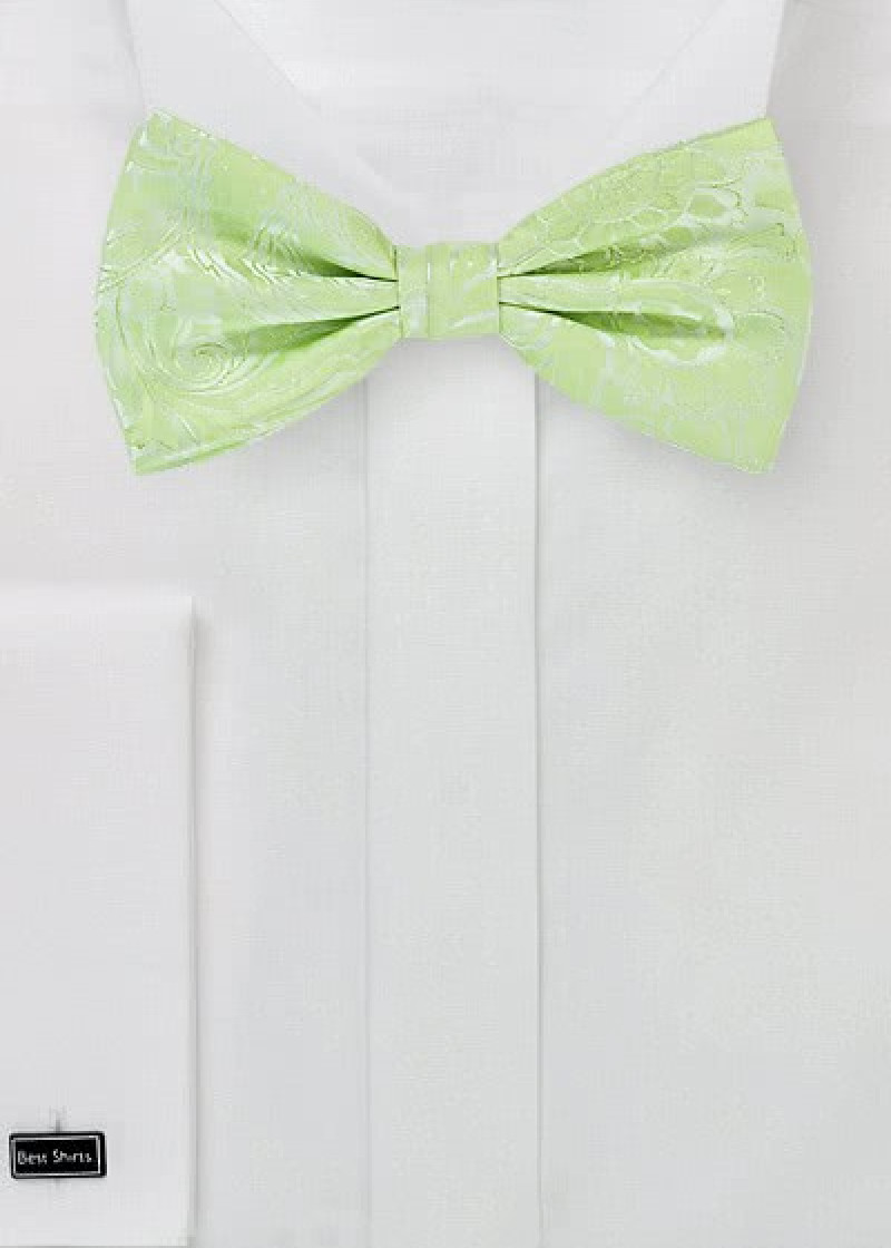Papillon verde pastello paisley