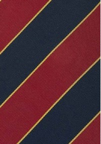 Krawatte Lothian and Border rot dunkelblau