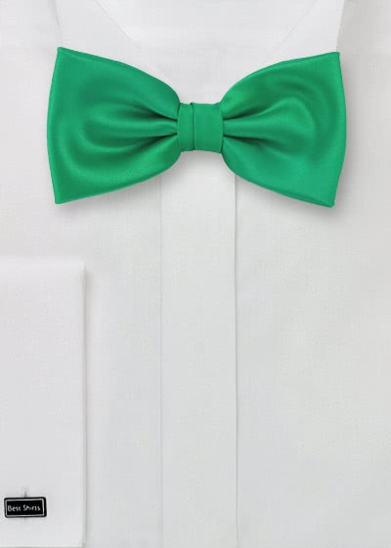 Papillon verde unicolore