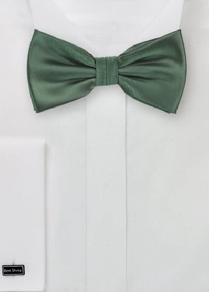 Papillion aus dem gleichen Stoff und Farbe