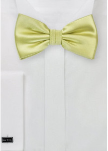 fiocco luminoso verde lime verde lime