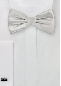 Papillon argento lucido