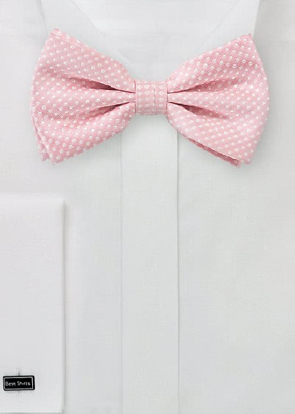Papillion aus dem gleichen Stoff und Farbe