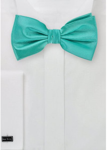 Papillon verde menta