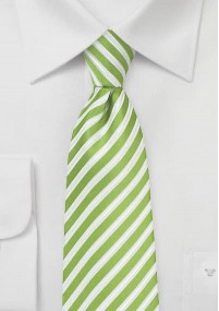 Cravatta verde righe bianche