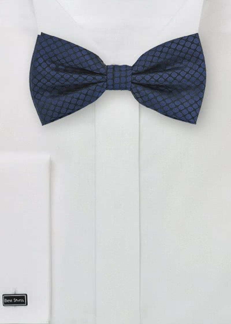 Papillon blu marino