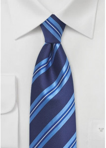 Cravatta blu regale