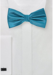 Papillon blu verde