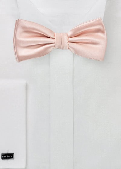 Papillion aus dem gleichen Stoff und Farbe