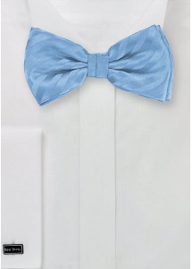 Papillon da uomo azzurro a righe